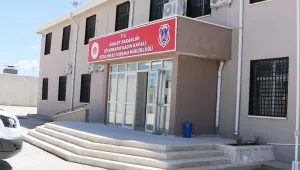Çıplak arama işkencesi
