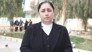 BAAS’ın başka bir versiyonu
