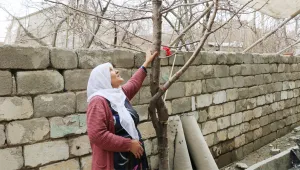 Her Nisan’da bir ağaç