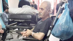Tutsak Çam için başvuru
