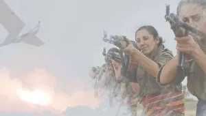 Gerilla havadan vurdu