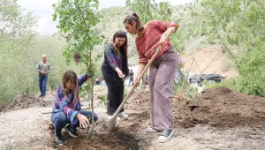 Devlet, elini doğadan çekmeli