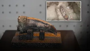 Peru’da 5 bin yıllık kadın mezarı