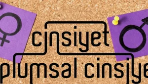 Toplumsal cinsiyet kavramı neden yasaklandı?
