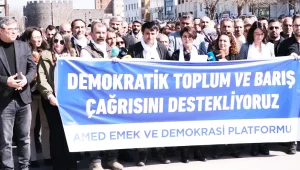 Siyasetsizlik halleri