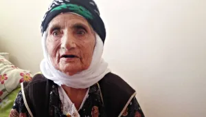 Îdir’in asırlık çınarı