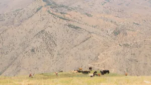 90’larda JİTEM, 2000’lerde şirketler