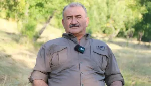 Devlet içinde direnç var