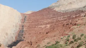 Orman cellatları