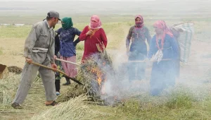Demokratik ulusla komünalist yaşam