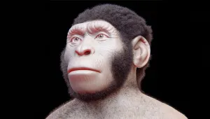 Homo naledi ve mezar kültürünün geçmişi