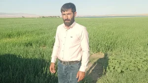 Devlet Ahmet’e karşı birleşti!