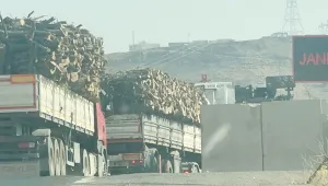 Kürdistan’da doğa kırımı
