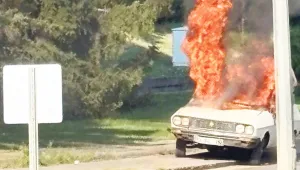 Beyaz toros yakıldı, komisyon toplandı