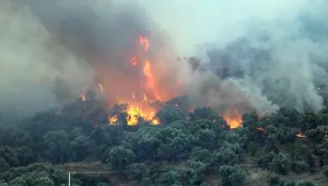 Yangınlar ve yerel yönetimlerin önemi