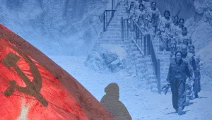 Sömürgecinin arzusu mu? Yoldaşın eleştirisi mi?