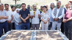 Mezara saldırıya tepki