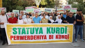 Statü ve ana dil