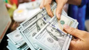Yıllık ödenecek dış borç 239,5 milyar dolar