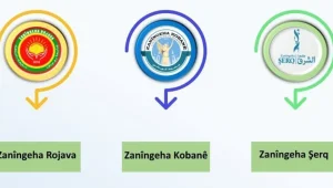 Üç üniversitede  11 yeni bölüm