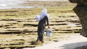 Susuzluğun faturası kadınlara kesiliyor