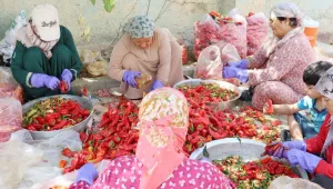 Durango ile kardeşlik projesi: Kobanê Kadın Kooperatifi