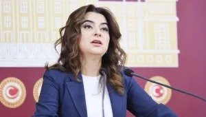 Meclis 'Barış Yasası' hazırlasın
