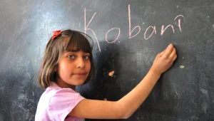 1 Kasım ve yurt savunması
