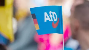 AfD yükselişte