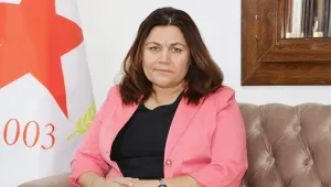 Devrim içinde devrim