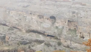 Mazgêrt avcıların hedefinde