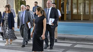 DEM Parti neler istiyor?