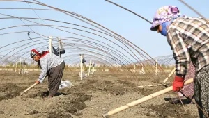 Kadın işçilerin emeğini koruyor