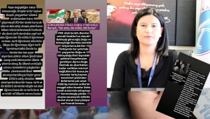 Kadın profesör nefret kustu