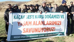 Dêrsim'de doğa katliamına tepki