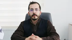 Uluslararası mekanizmalarda girişim