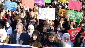 Alternatifler, inkârdan doğar