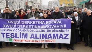 Rojava'ya insani bakalım