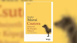 Csutora: Efendi-köle diyalektiği