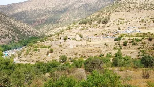 Kürtleri göç ettirme, etnik nefrete dayanıyor