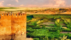 Amed'in doğası