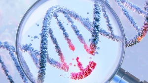 DNA’yla atalarımızın izini sürmek