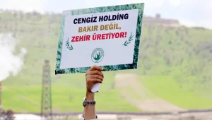 Cengiz, Şemrex’e de çöküyor