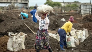Afrika’nın enerji sektörüne de çöktü