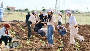 Kadınlar toprağı yeşertiyor