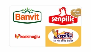 Tüm tavuk şirketleri iktidarın