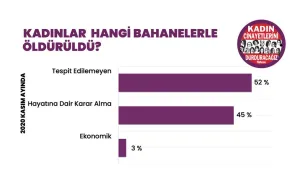 Kasım'da 39 kadın katledildi