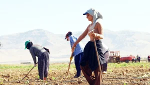 850 lira için…