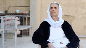 Ailemden 11 kişiyi öldürdüler