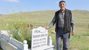 Niye barış olmasın?